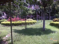 中南花园实景图图片