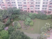 中南花园实景图图片