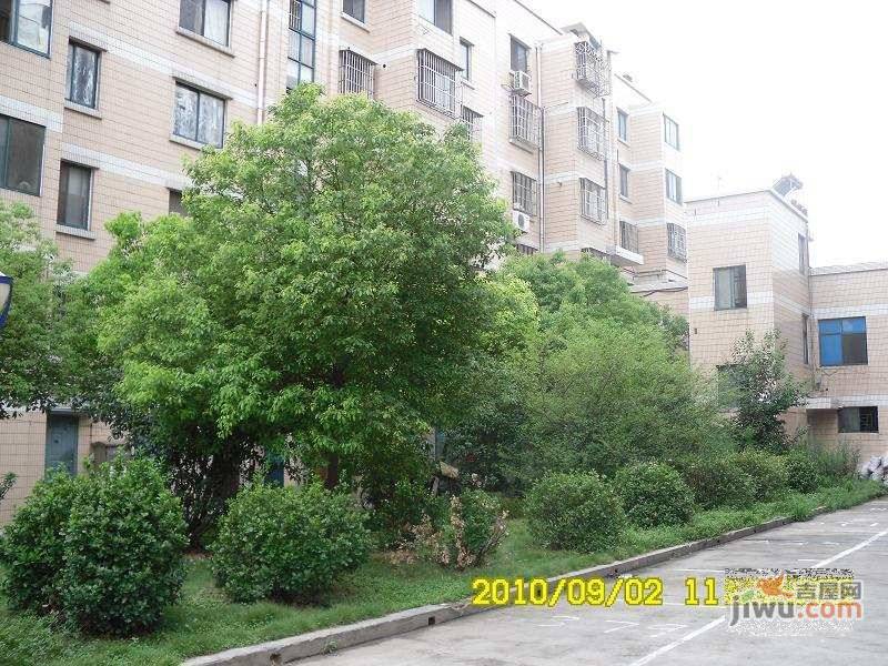 日康花园实景图图片