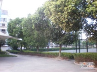 长江绿岛实景图图片