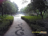 滨江花园实景图图片