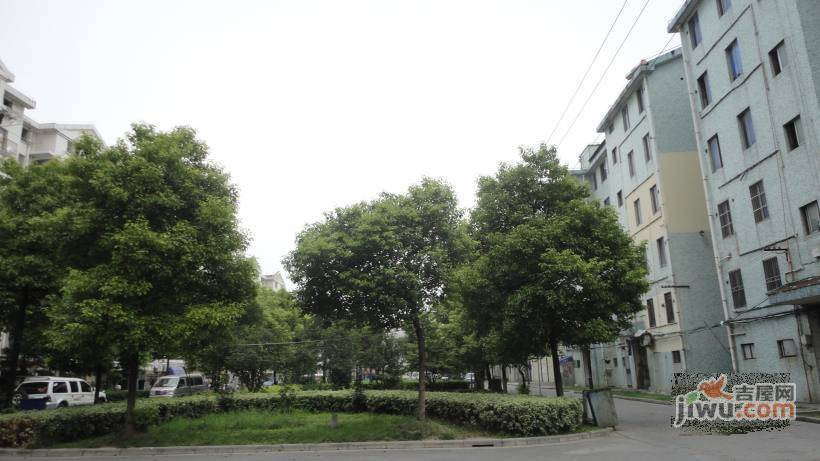 美华东村实景图图片