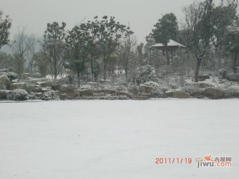 申峰花苑实景图图片