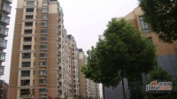 上海星城花苑实景图图片