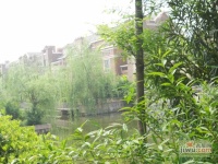 绿地21城合欢园实景图图片
