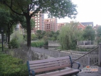 绿地21城合欢园实景图图片