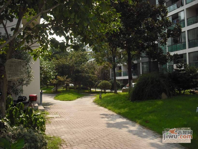 嘉业阳光水世界实景图图片