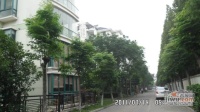 阳光昆城实景图图片