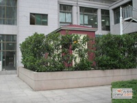 东方丽池实景图44