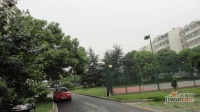 香樟园实景图图片