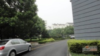 香樟园实景图图片